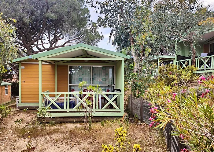 Camping La Croix Du Sud